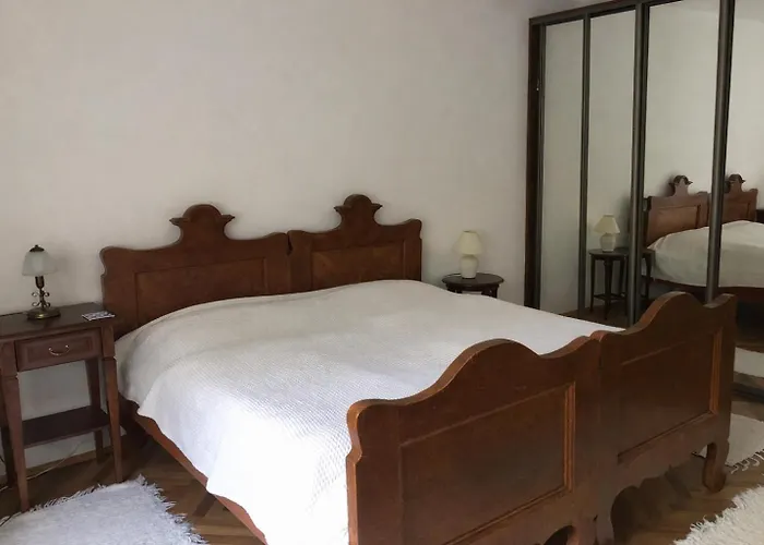 Parkside Flat In The Oldtown * ブラチスラヴァ